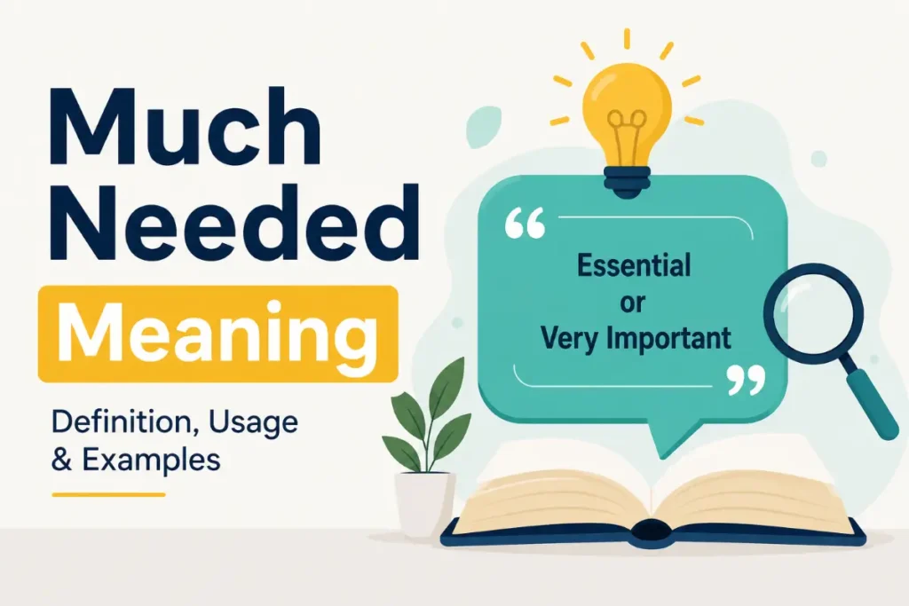 Much Needed Meaning: 7 Things You Should Know (2026)