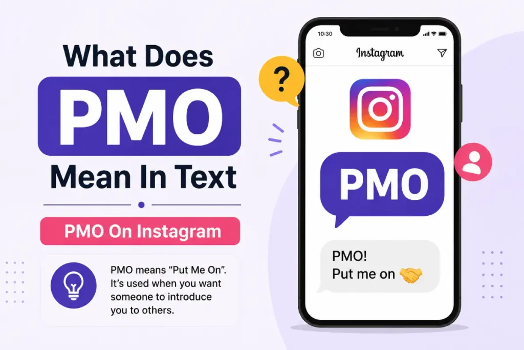 What Does PMO Mean In Text explained with an Instagram example and the meaning of PMO on Instagram.