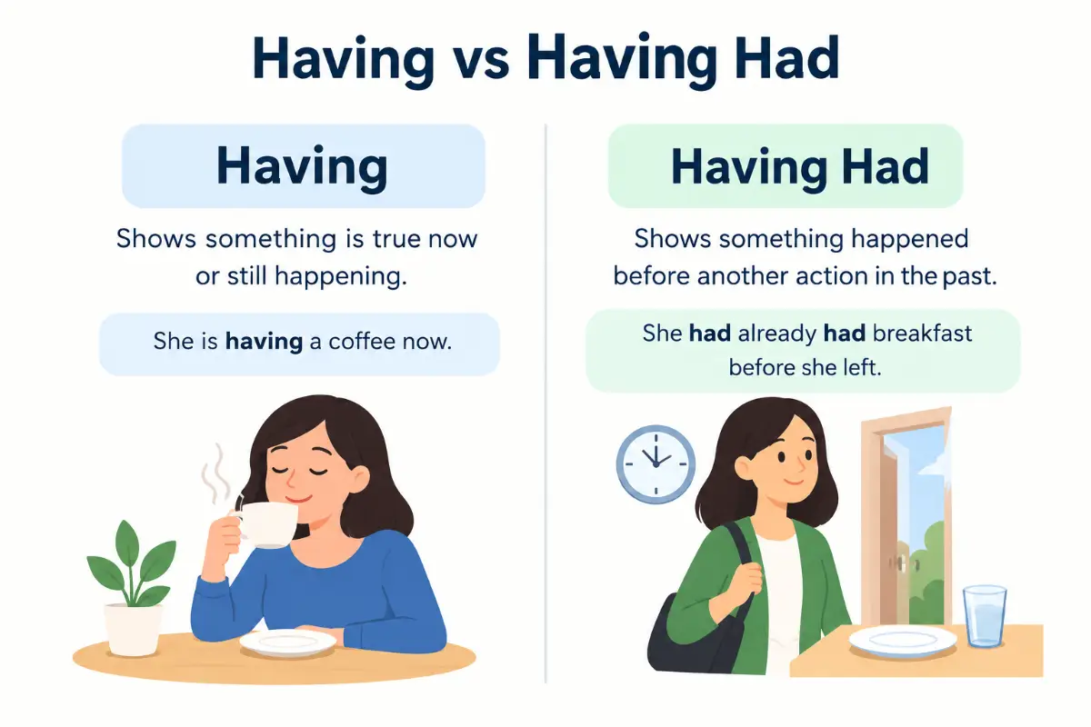 Having vs Having Had Meaning and Grammar With Examples (2026)