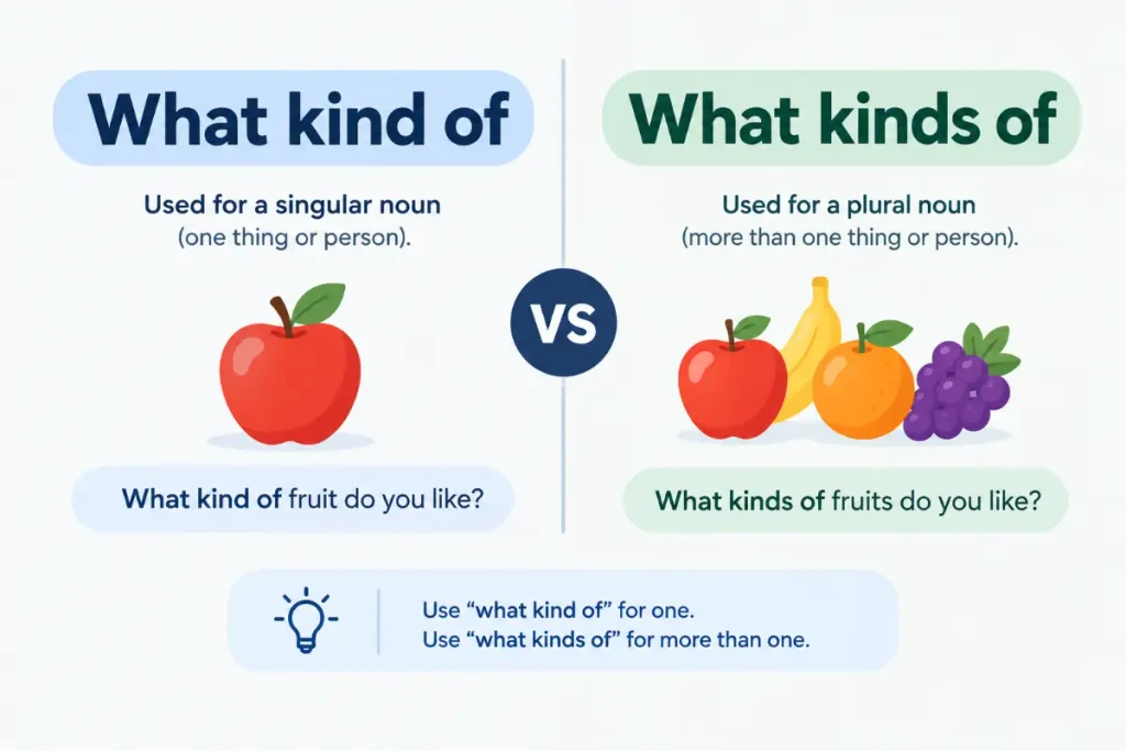 What Kind of vs What Kinds Of grammar usage explained visually.